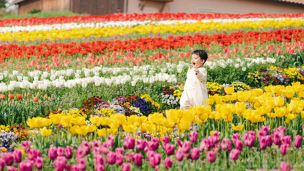 充実の子育てサポート